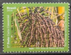 C 3575 Selo Maravilhas de Belem do Para Acai Fruta Economia