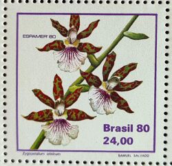 C 1164 Selo Orquidea ESPAMER Flora 1980