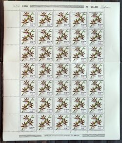 C 1164 Selo Orquidea ESPAMER Flora 1980 Folha