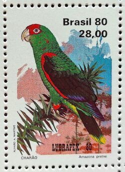 C 1168 Selo Fauna Psitacideos Papagaio Charao Passaro 1980