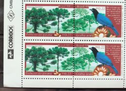 C 2138 Selo Pinheiro do Parana Gralha Azul Araucaria 1998 Quadra Vinheta Correios
