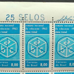 C 487 Selo Semana Nacional de Educacao 1963 Variedade Risco Assinatura 2