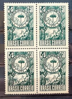 C 382 Selo Campanha de Educacao Florestal Mapa 1956 Quadra 1