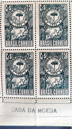 C 382 Selo Campanha de Educacao Florestal Mapa 1956 Quadra Vinheta CMB