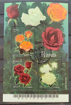 B 146 Bloco Rosas 2007 CBC MG