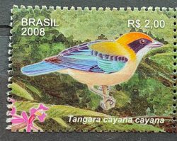 C 2749 Selo Serra do Japi Passaro Ave Tangara 2008