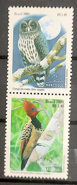C 2766 Selo Aves Autoctones Coruja Pica Pau Mercosul Lua 2008 Setenant Vertical