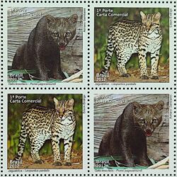C 3217 Selo Fauna Gato Mourisco e Jaguatirica 2012 Quadra