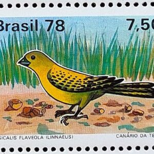C 1036 Selo Passaros Brasileiros Fauna Ave Sicalis faveola 1978