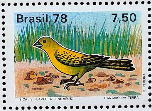 C 1036 Selo Passaros Brasileiros Fauna Ave Sicalis faveola 1978