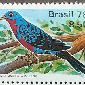 C 1037 Selo Passaros Brasileiros Fauna Ave Cotinga 1978