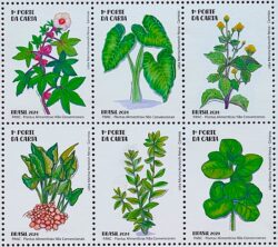 C 4148 Selo Plantas Alimenticias PANC Gastronomia 2024 Serie Completa