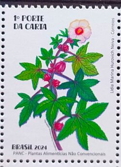 C 4148 Selo Plantas Alimenticias PANC Gastronomia 2024 Vinagreira