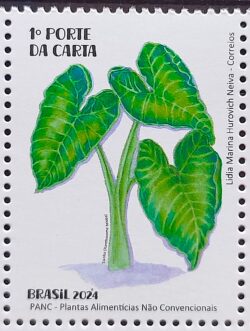 C 4149 Selo Plantas Alimenticias PANC Gastronomia 2024 Taioba