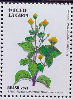 C 4150 Selo Plantas Alimenticias PANC Gastronomia 2024 Jambu