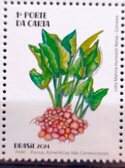 C 4151 Selo Plantas Alimenticias PANC Gastronomia 2024 Mangarito