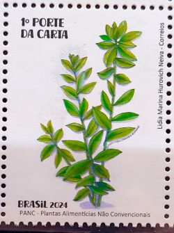 C 4152 Selo Plantas Alimenticias PANC Gastronomia 2024 Ora Pro Nobis