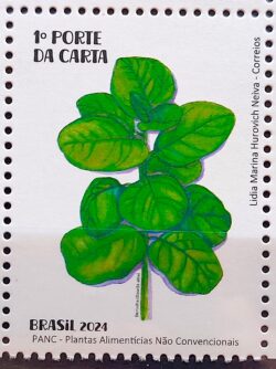 C 4153 Selo Plantas Alimenticias PANC Gastronomia 2024 Bertalha