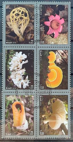 C 3821 Selo Diversidade de Fungos 2019 CBC SP