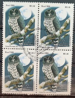 C 2766 Selo Mercosul Coruja Lua Ave Fauna 2008 Quadra CBC MT