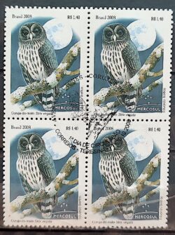 C 2766 Selo Mercosul Coruja Lua Ave Fauna 2008 Quadra CBC PI