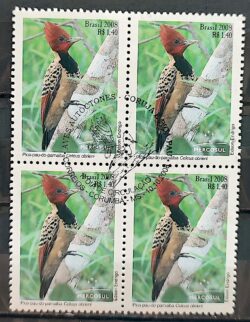 C 2767 Selo Mercosul Pica Pau Lua Ave Fauna 2008 Quadra CBC MS