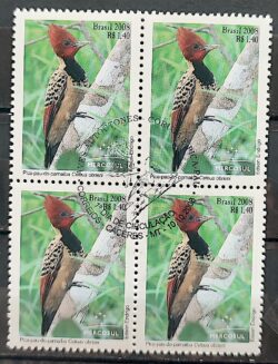 C 2767 Selo Mercosul Pica Pau Lua Ave Fauna 2008 Quadra CBC MT