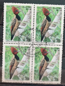 C 2767 Selo Mercosul Pica Pau Lua Ave Fauna 2008 Quadra CBC SP