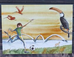 Cartao Postal 2014 Futebol Brasil Regiao Centro Oeste