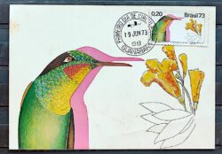 Maximo Postal 1973 Fauna Passaro Beija Flor CPD GB