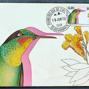 Maximo Postal 1973 Fauna Passaro Beija Flor CPD GB