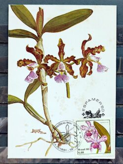 Maximo Postal 1980 Espamer Orquidea Flora CBC SP