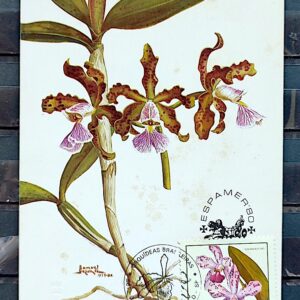 Maximo Postal 1980 Espamer Orquidea Flora CBC SP