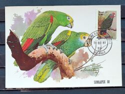Maximo Postal 1980 Fauna Passaro Papagaio CPD SP