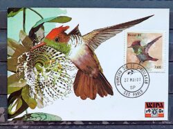 Maximo Postal 1981 Fauna Passaro Beija Flor CPD SP