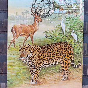 Maximo Postal 1984 Fauna Pantanal Cervo Onca Aves Tuiuiu Cuiaba CBC MT