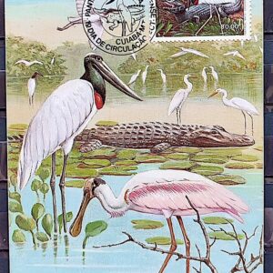 Maximo Postal 1984 Fauna Pantanal Jacare Tuiuiu Flamingo Cuiaba CBC MT 2