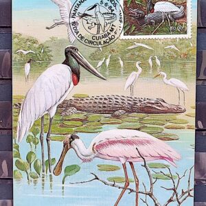 Maximo Postal 1984 Fauna Pantanal Jacare Tuiuiu Flamingo Cuiaba CBC MT