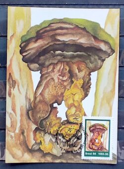 Maximo Postal 1984 Fungos 1