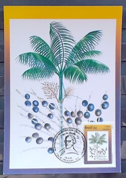 Maximo Postal 1994 Flora Karl Friedrich Phillip von Martius Acai do Para
