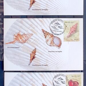 Maximo Postal 2007 Conchas Marinhas Moluscos CBC RS SP Serie Completa