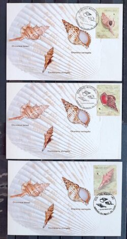 Maximo Postal 2007 Conchas Marinhas Moluscos CBC RS BA Serie Completa