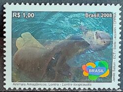 C 2765 Selo Animais Amazonicos 2008 Lontra