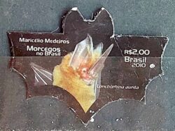 C 3062 Selo Morcego 2010 Circulado 3