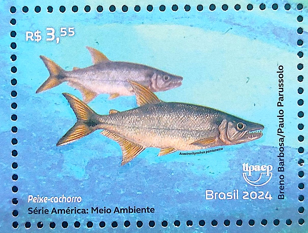 C 4160 Selo Serie America Meio Ambiente Peixes 2024 Peixe Cachorro