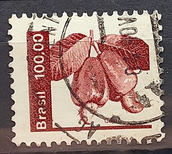 Selo Regular RHM 623 Recursos Economicos Fruta Caju 1981 Circulado 3