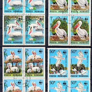 Selos Tema Fauna Aves 013 Pelicanos Romenia WWF Urso Quadra