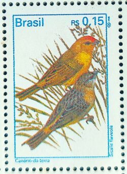Selo Regular RHM 718 Passaros Urbanos 1995