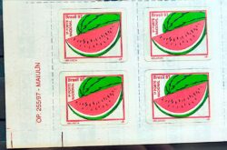 Selo Regular RHM 734 B1 Fruta Melancia Perce em Linha 1997 Quadra Data
