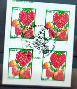Selo Regular RHM 743 B3 Fruta Morango Perce em Onda Rarissimo 1997 Quadra CBC RJ